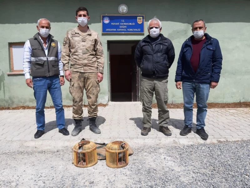 Siirt’te kaçak avcılık yaptığı tespit edilen şahıs hakkında tutanak tutuldu

