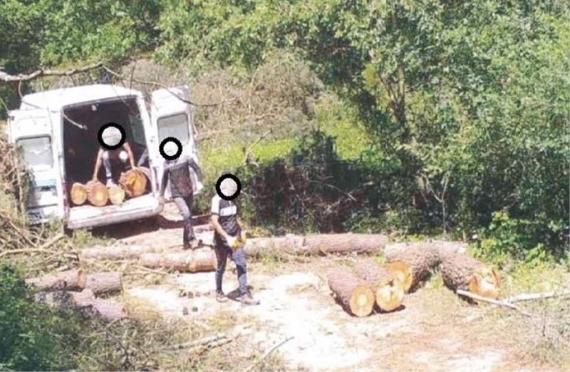 Bolu’da ormanlar yapay zeka fotokapanlarla korunuyor
