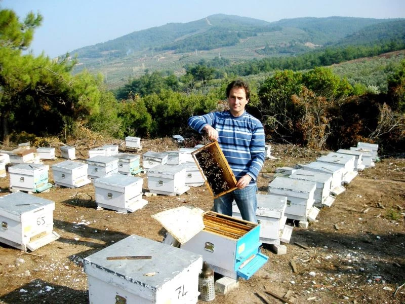 Avukattan organik üretim
