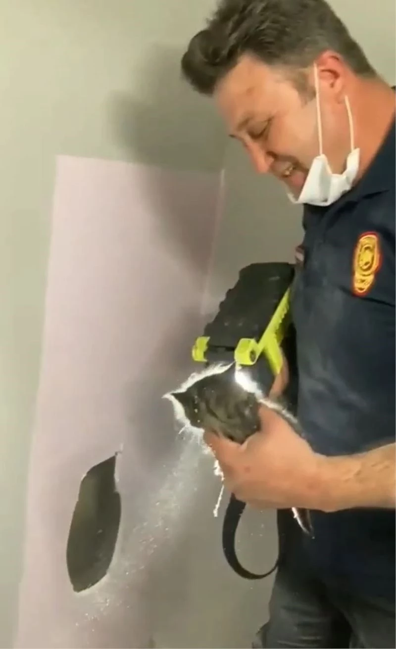 Duvardan gelen sesin kaynağı duvar delinince ortaya çıktı
