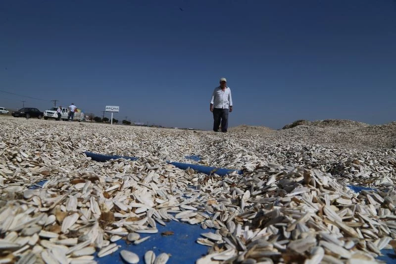 Büyükkılıç’ın tarıma verdiği önem rakamlara yansıdı
