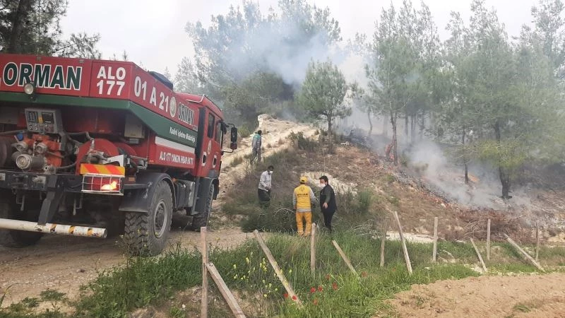 Yaşlı adam, çıkardığı orman yangınını çalıyla söndürmeye çalıştı
