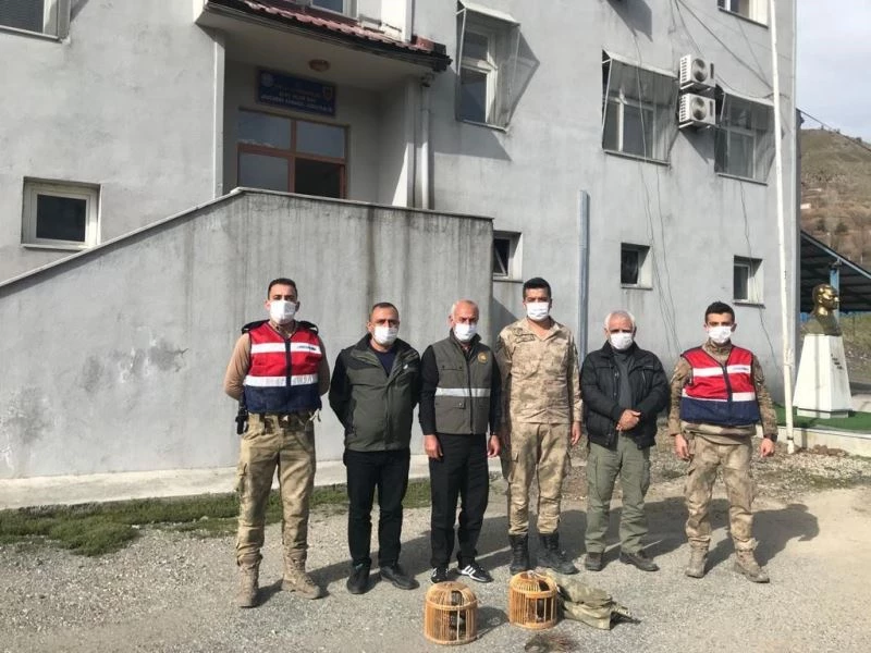 Siirt’te kaçak avcılık yaptığı tespit edilen şahıs hakkında tutanak tutuldu
