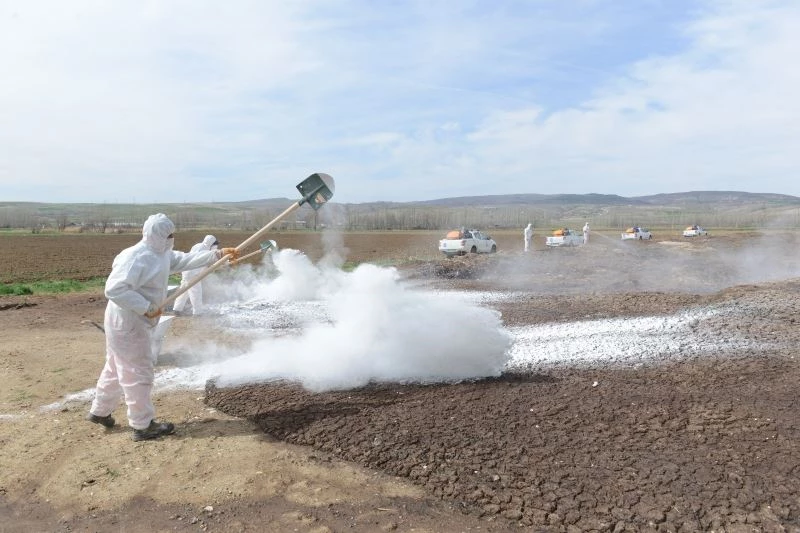 Çorum belediyesi vektörel mücadeleyi erken başlattı
