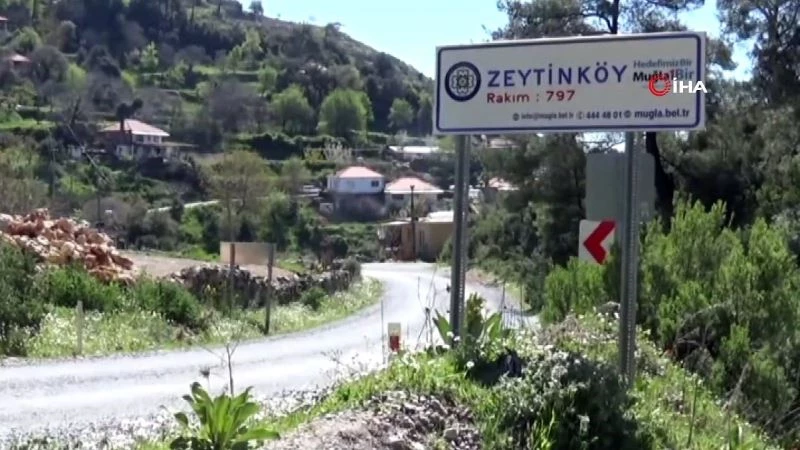 Muğla’da cinayet: Baba ve oğlu kavgalı olduğu komşusu tarafından öldürüldü (1)
