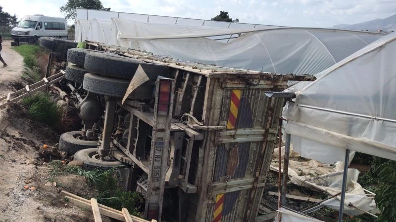 Portakal yüklü kamyon seraya daldı
