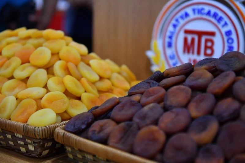 Kayısıda ihracat azaldı, gelir yükseldi
