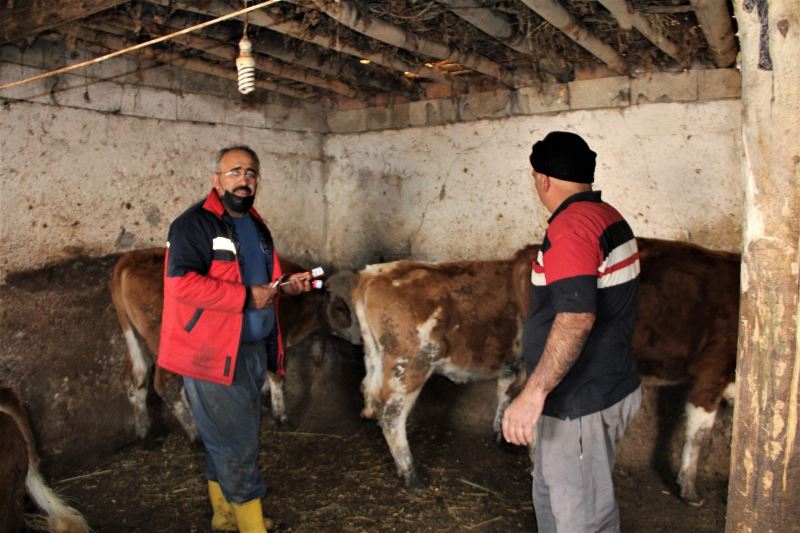 Iğdır’da aşı küpe ve hayvan tespit çalışmaları devam ediyor
