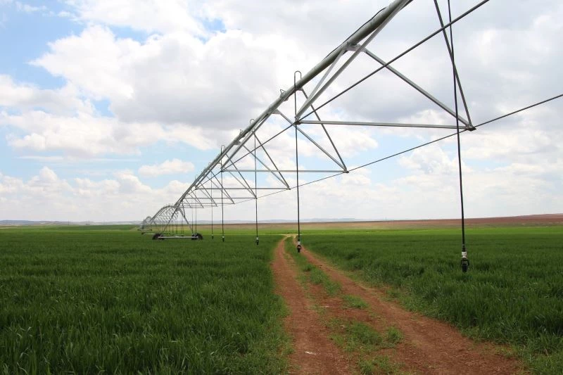 Şanlıurfalı çiftçi ’pivot’ sulamayla yüzde 50 tasarruf sağladı
