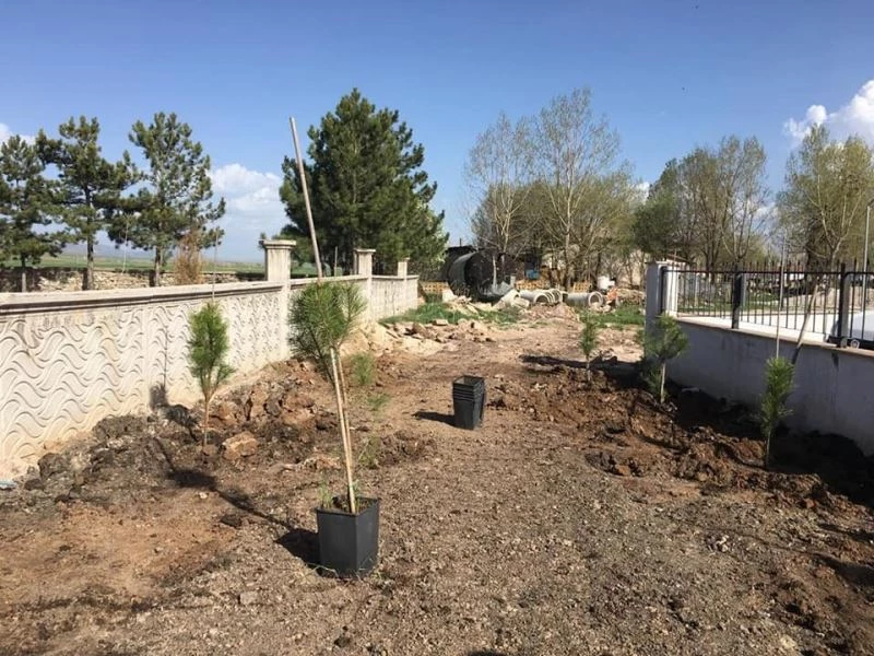 Sağlık personellerinden fidan dikim etkinliği
