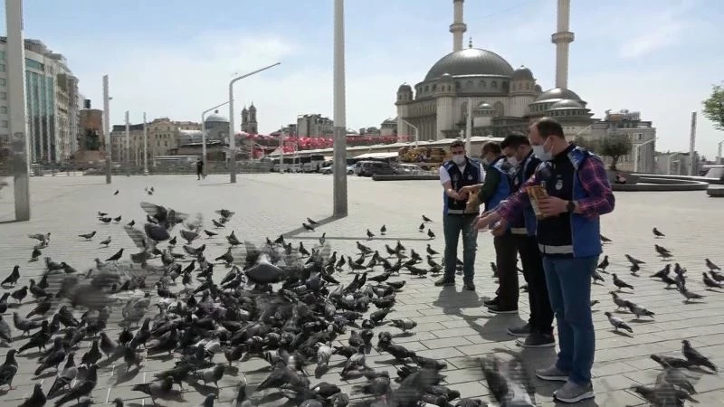 Taksim meydanı 1 Mayısta kuşlara kaldı
