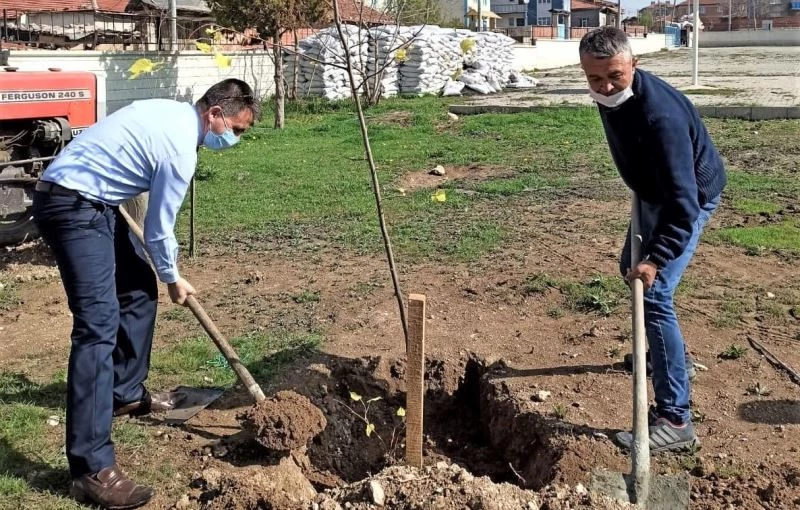 Ortaokul bahçesi ağaçlandırıldı
