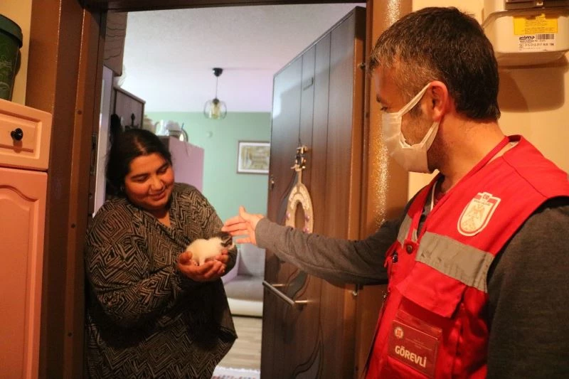 Ekipler alarma geçti,  yavru kediyi sütannesi ile buluşturuldu
