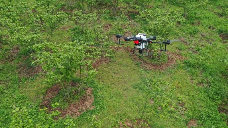 Fındık tarımında ilk: ZİHA
