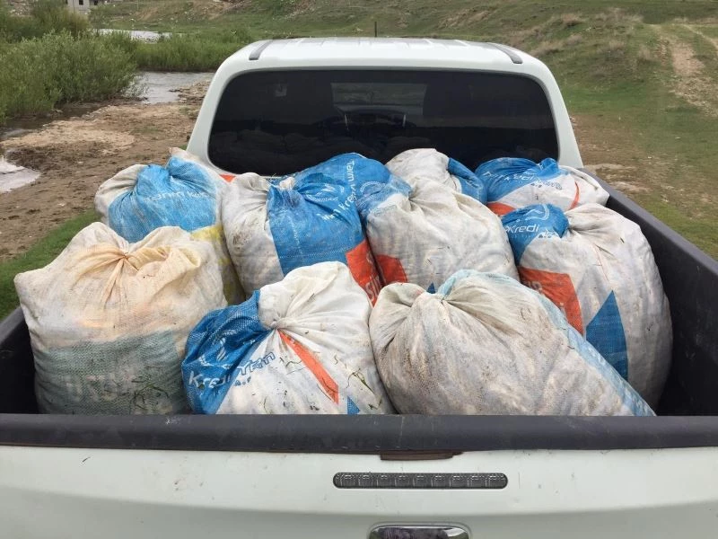 Kaçak avlanmış 1,5 ton inci kefali ele geçirildi
