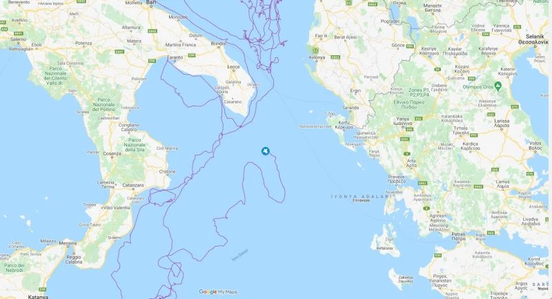 Uydudan izlenen caretta caretta iki yılda 10 bin kilometre yol aldı
