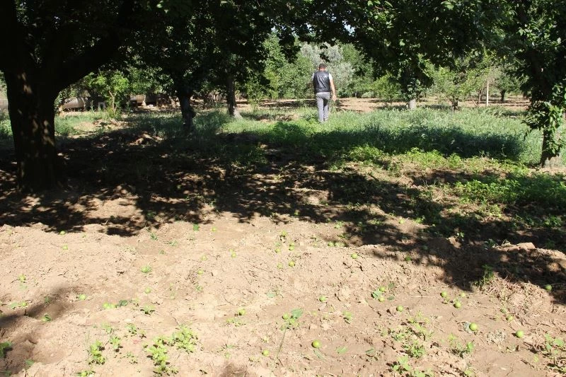 Dumanlı Papaz eriğini önce pandemi ardından rüzgar vurdu
