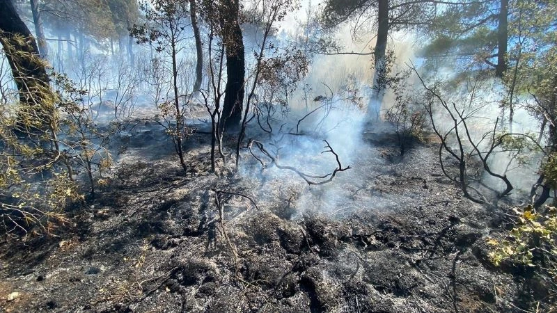 Kısıtlamada mangal yakan 3 kafadar 5 hektar ormanı kül etti
