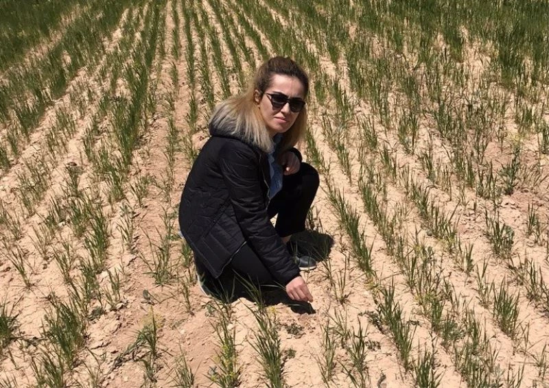 Elbistan’da zirai donun yol açtığı hasarın tespitine başlandı
