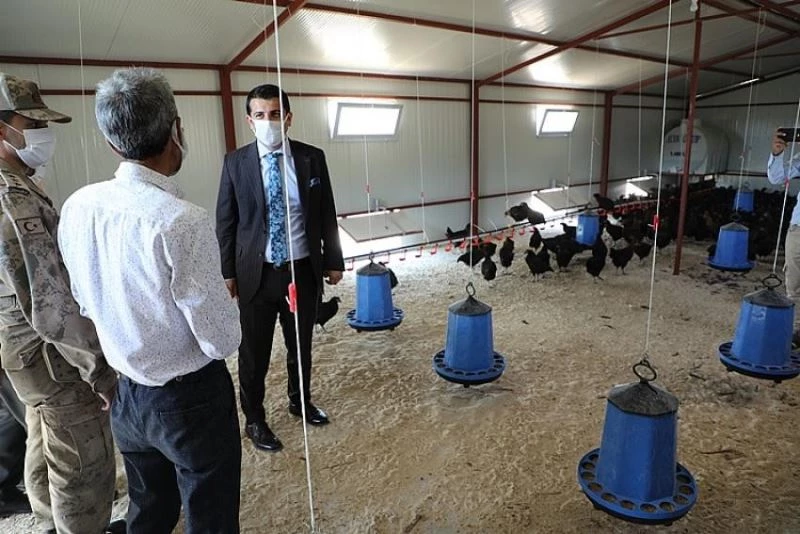 Hasankeyf’te yüzde 70 hibe ile 3 tavuk tesisi
