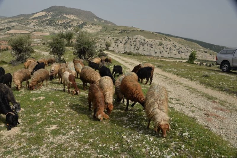 Kilis’te Orköy projesi kapsamında 400 bin TL’lik destek
