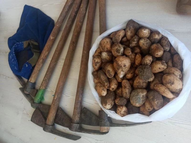 Kısıtlamayı ihlal edip, salep soğanı toplayan 5 kişi 419 bin 690 TL ceza yedi
