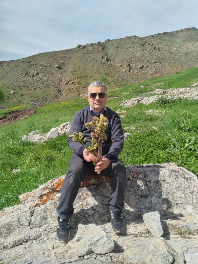 Sincik’te yaylalara akın başladı
