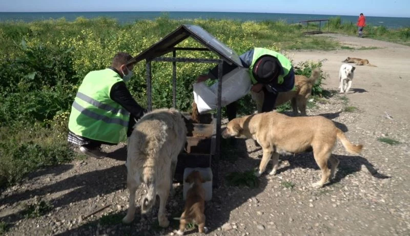 Ordu’da patili dostlar unutulmadı
