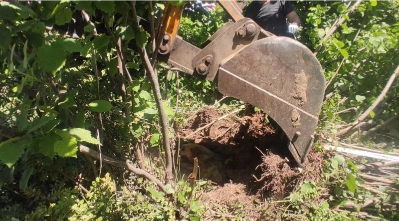 Ağacın dibine sıkışan köpek için seferber oldular
