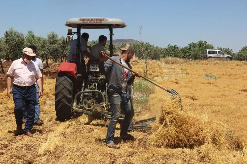 Kilis’te mercimek hasadı başladı
