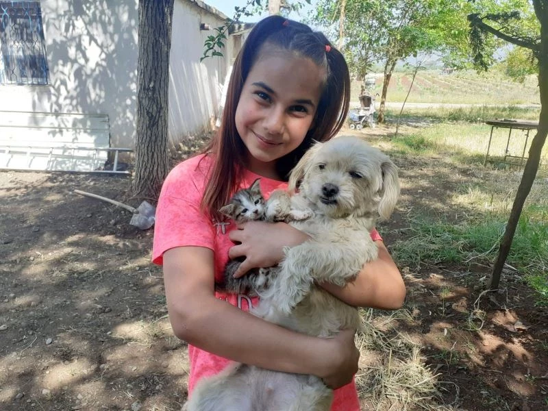 Pamuk adlı köpek emzirdiği yavru kediye annelik yapıyor
