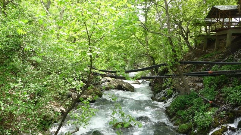 Saimbeyli’deki gizli doğa cenneti ’Pağnık’ keşfedilmeyi bekliyor
