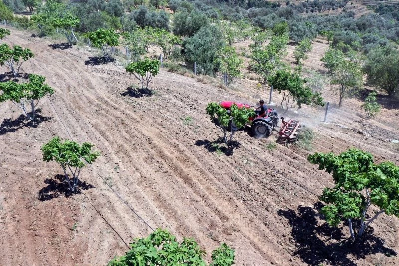 Çiftçiler gününü tarlada çalışarak geçirdiler
