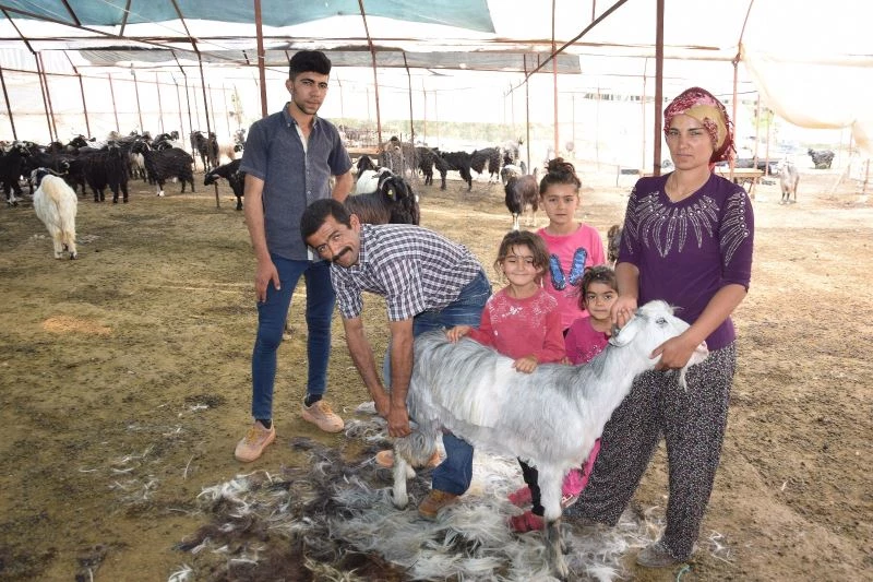 Yılda 6 ayrı yer değiştiren çobanlar göç etmeye hazırlanıyor
