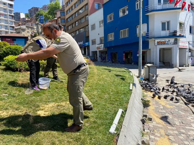 Tam kapanmada aç kalan güvercinleri beslediler
