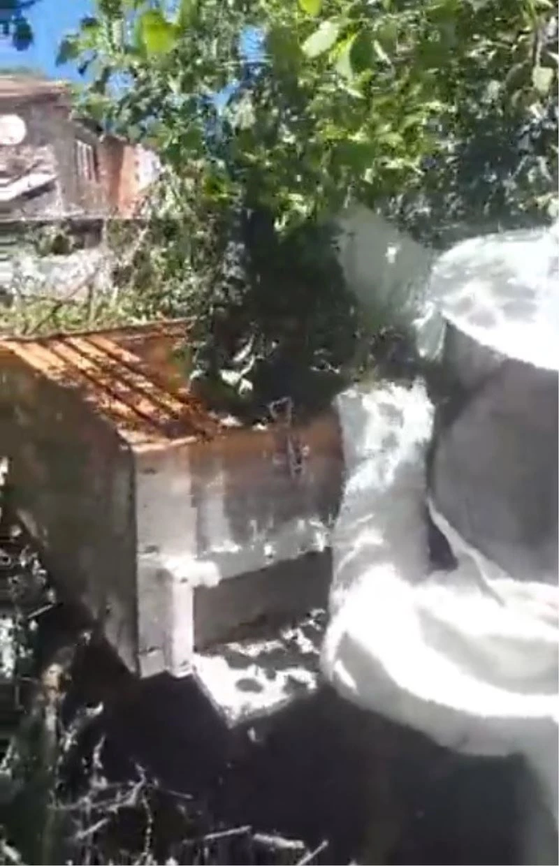 (Özel) Evinin penceresinden bakınca gördüğü manzarayla şaşkına döndü
