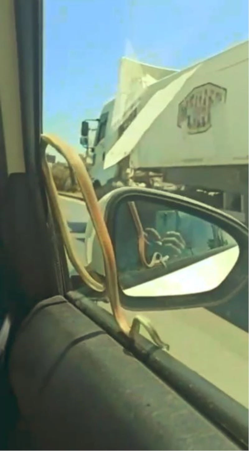 Antalya’da otomobilde yılanlı yolculuk
