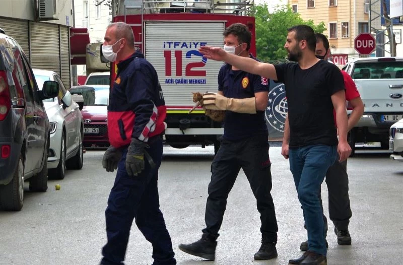 Kurtardıkları yavrunun annesini bulabilmek için sokak sokak dolaştılar
