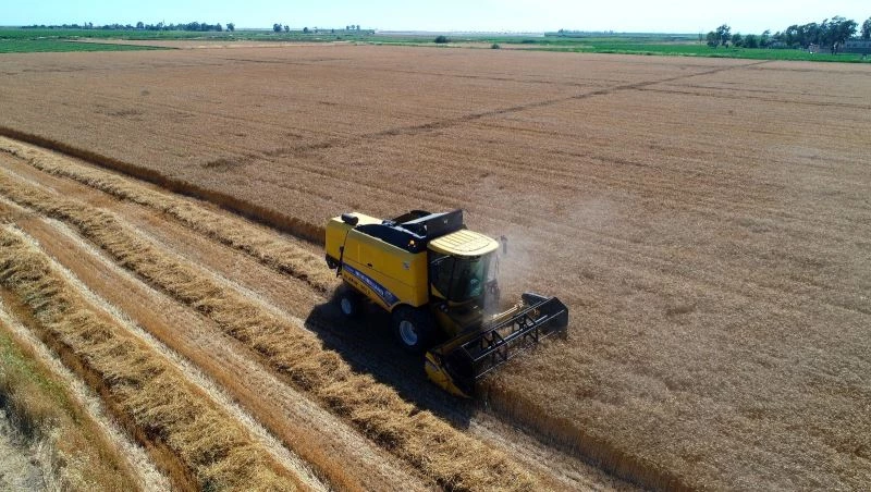 Buğdayda hasat başladı, çiftçinin yüzü gülüyor
