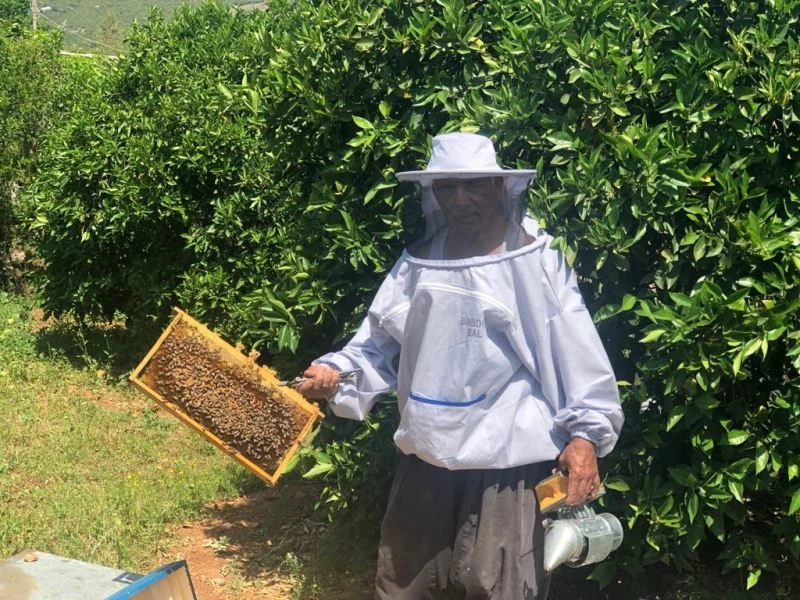 Çukurovalı arıcıların yaylalara yolculuğu başlıyor
