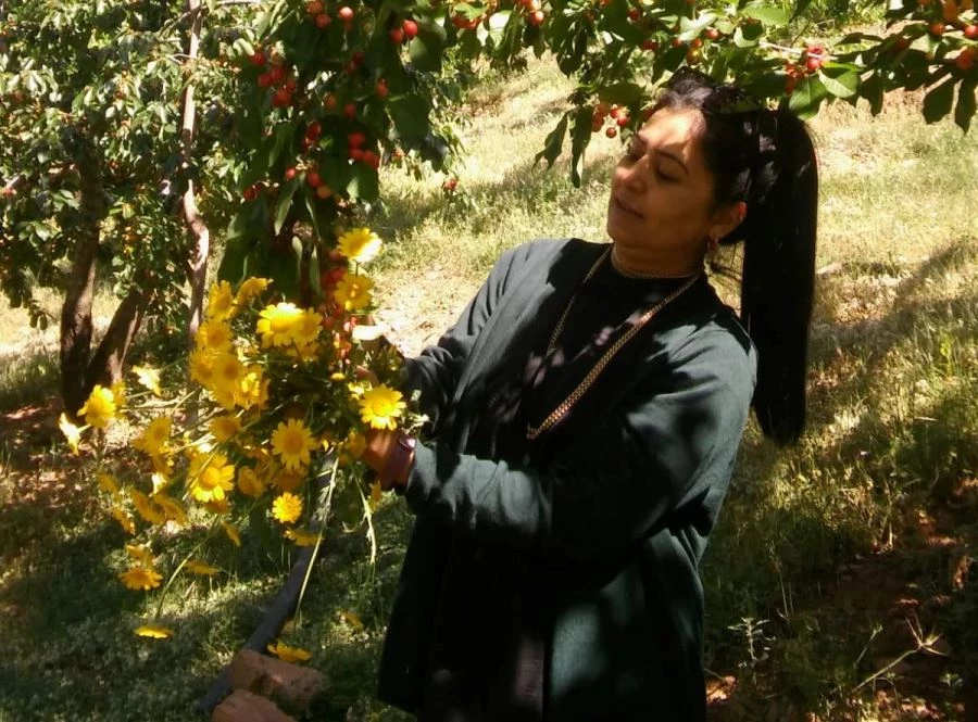 Bahçe Kadın Kooperatifi Tarafından İhracatlık Kiraz Alımı Yapılacak!