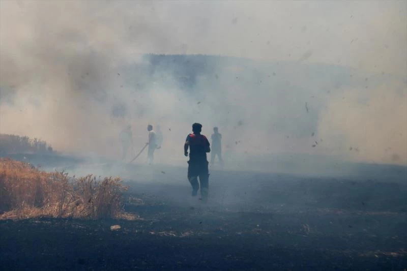 Osmaniye Korkut Ata Üniversitesi yerleşkesi yanında çıkan anız yangını söndürüldü