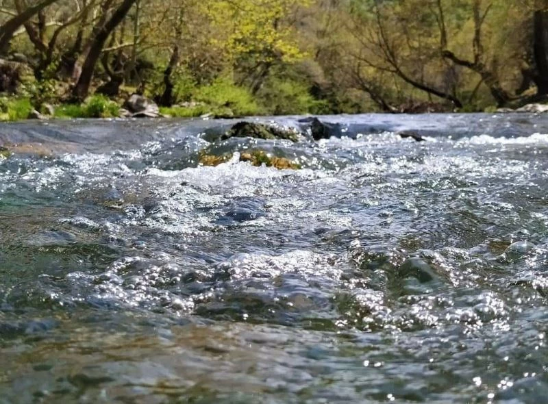 Manyas Ketenlik deresi siyaha büründü

