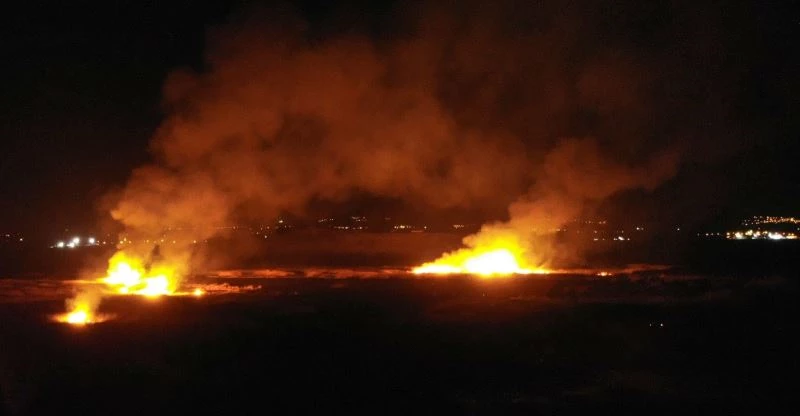 Erzincan’da kuş cennetinde yangın
