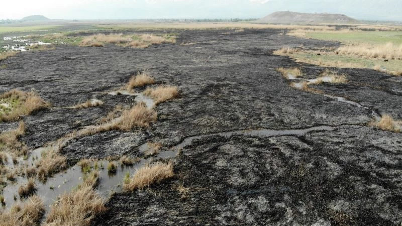 Erzincan’da kuş cennetinde gece çıkan yangın tamamen söndü
