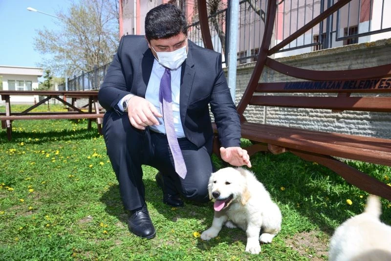 Patili dostlara tam kapanma sürecinde de sahip çıkılıyor
