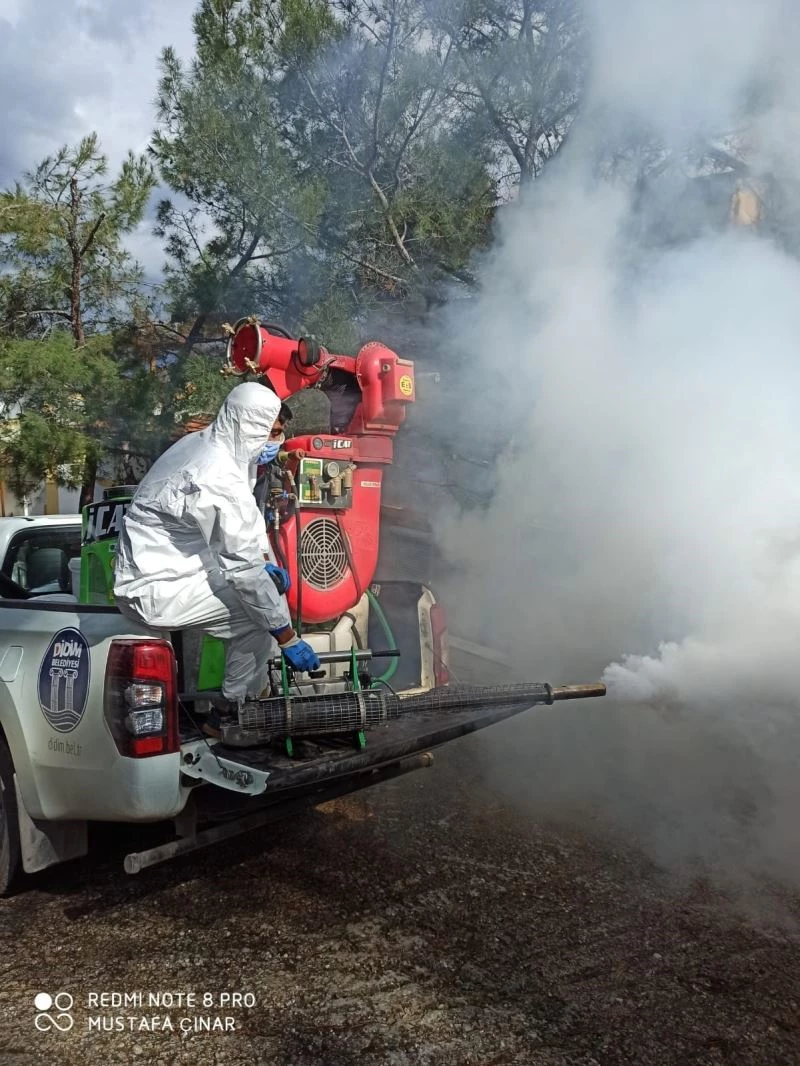 Didim’de sivrisinek ile mücadele çalışmaları devam ediyor

