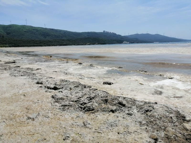 Erdek körfezinde deniz salyası kabusu
