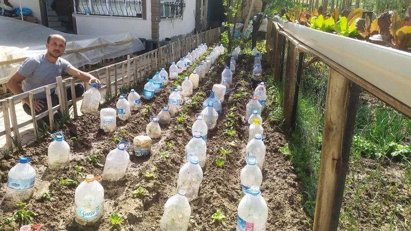 Sebze fidelerini soğuktan pet şişe ile koruyor
