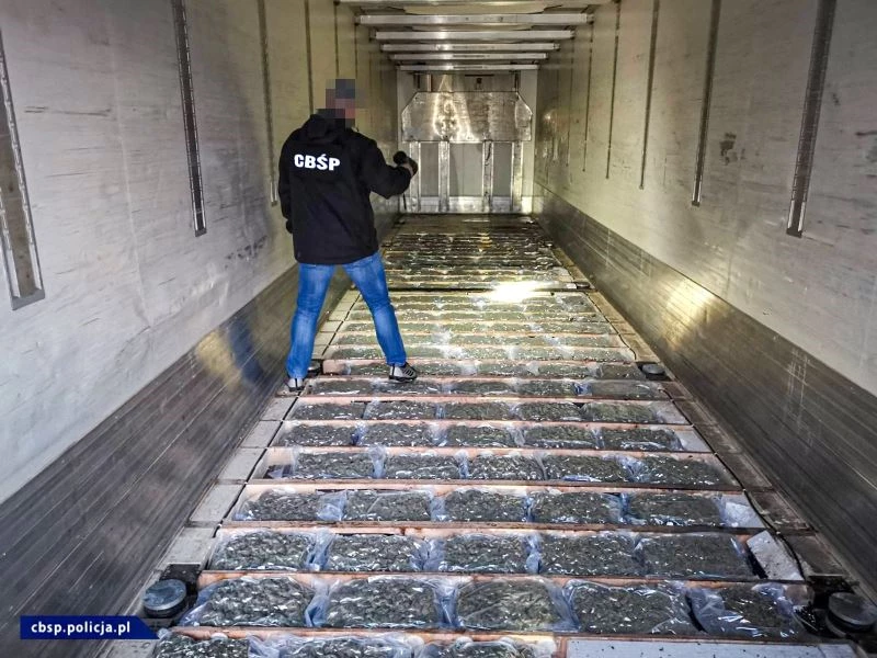 Karnabahar tırında 1 milyon euroluk marihuana ele geçirildi
